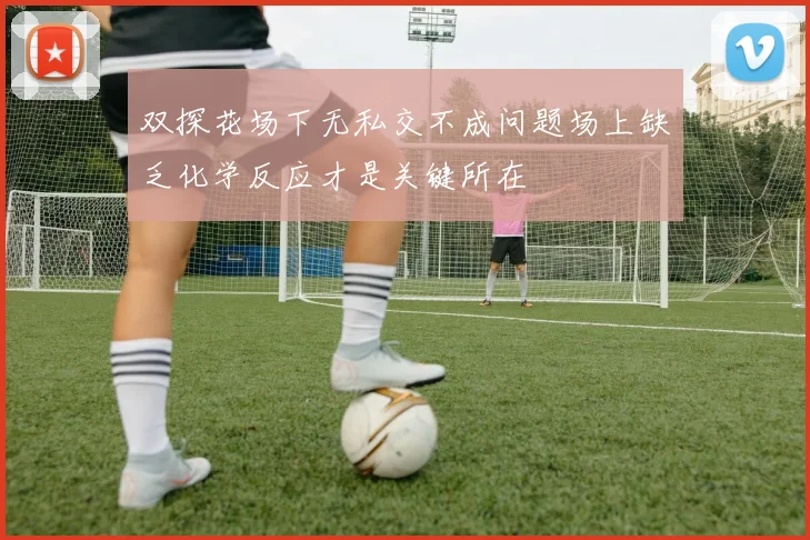 双探花场下无私交不成问题场上缺乏化学反应才是关键所在