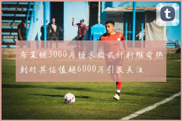 布莱顿3000万镑求购武什科维奇热刺对其估值超6000万引发关注